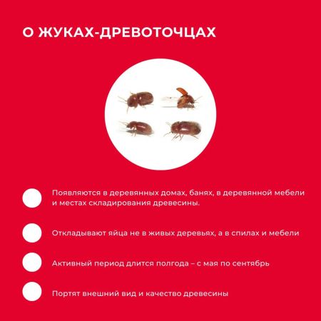 Пропитка для защиты древесины StopЖук NEOMID 100 концентрат 1:4 1 л купить в магазине стройматериалов Евсей Павловский Посад с доставкой по Московской области, в города Павловский Посад, Электросталь, Дрезна, Ликино-Дулево, Орехово-Зуево, Пропитка для защиты древесины StopЖук NEOMID 100 концентрат 1:4 1 л каталог стройматериалов евсейстрой, заказ Пропитка для защиты древесины StopЖук NEOMID 100 концентрат 1:4 1 л на сайте с доставкой 