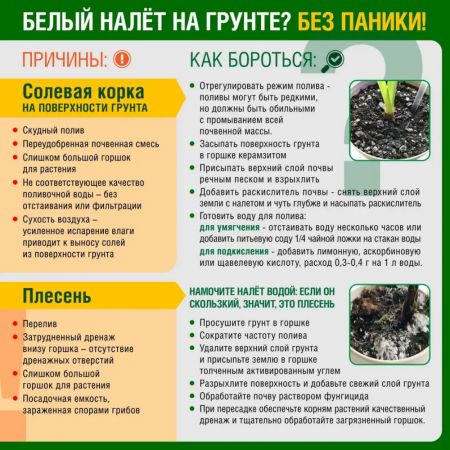 Грунт универсальный ОГОРОДНИК 9 л купить в магазине стройматериалов Евсей Павловский Посад с доставкой по Московской области, в города Павловский Посад, Электросталь, Дрезна, Ликино-Дулево, Орехово-Зуево, Грунт универсальный ОГОРОДНИК 9 л каталог стройматериалов евсейстрой, заказ Грунт универсальный ОГОРОДНИК 9 л на сайте с доставкой 